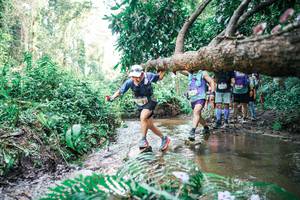 BIB: 
                            <button type="button" onclick="openModal(25476860)" class="btn btn-primary btn-sm float-right btn-popup" data-toggle="modal" data-target=".modal-high-quality">
                        <i class="fas fa-shopping-cart"></i> Add to Cart
                    </button>
                                            <button type="button" onclick="isThisMe(25476860, true)" class="btn btn-success btn-sm float-right btn-popup btn-isme hidden" data-toggle="tooltip" data-placement="bottom" title="นี่คือรูปของคุณใช่ไหม คลิกที่นี่เพื่อเอาเข้าอัลบั้ม">
                        <i class="fas fa-plus"></i> Add to album
                    </button>
                    <button type="button" onclick="isThisMe(25476860, false)" class="btn btn-warning btn-sm float-right btn-popup btn-isnotme hidden">
                        <i class="fas fa-ban"></i> Remove from album
                    </button>